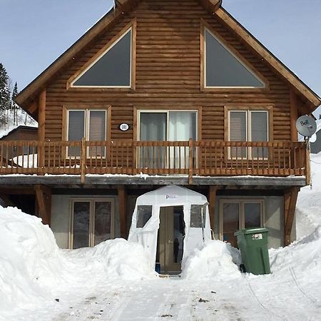 Chalet Du Versant Nord Villa Saint-David-de-Falardeau Exterior photo