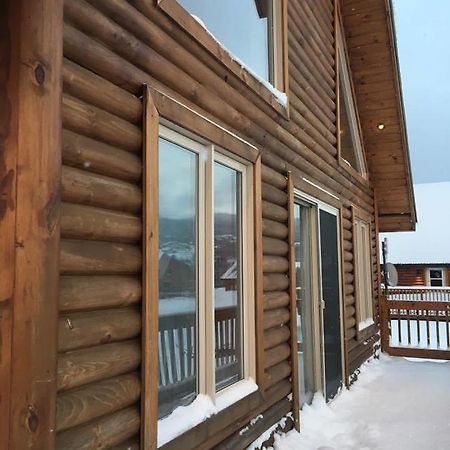 Chalet Du Versant Nord Villa Saint-David-de-Falardeau Exterior photo