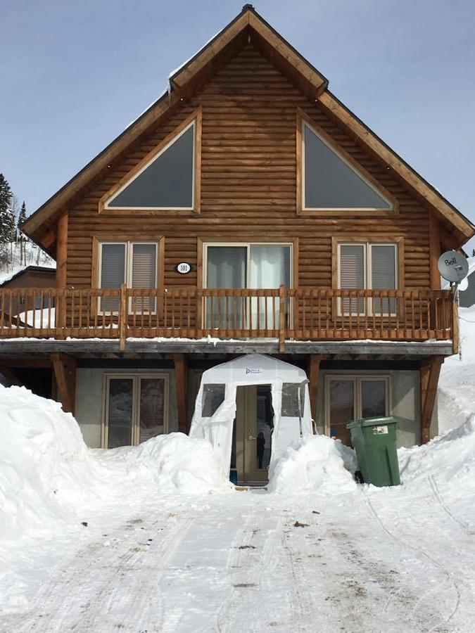 Chalet Du Versant Nord Villa Saint-David-de-Falardeau Exterior photo